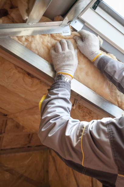 Best Blown-In Insulation  in Lorado City, CO