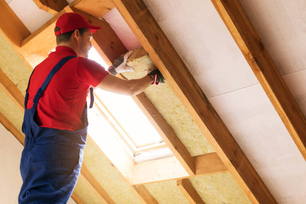 Best Garage Insulation  in Lorado City, CO